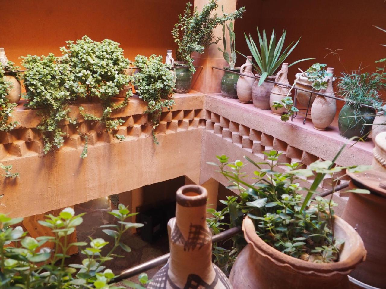 Casbah D'Hote La Jeanne Tourisme Ecologique Boumalne Zewnętrze zdjęcie